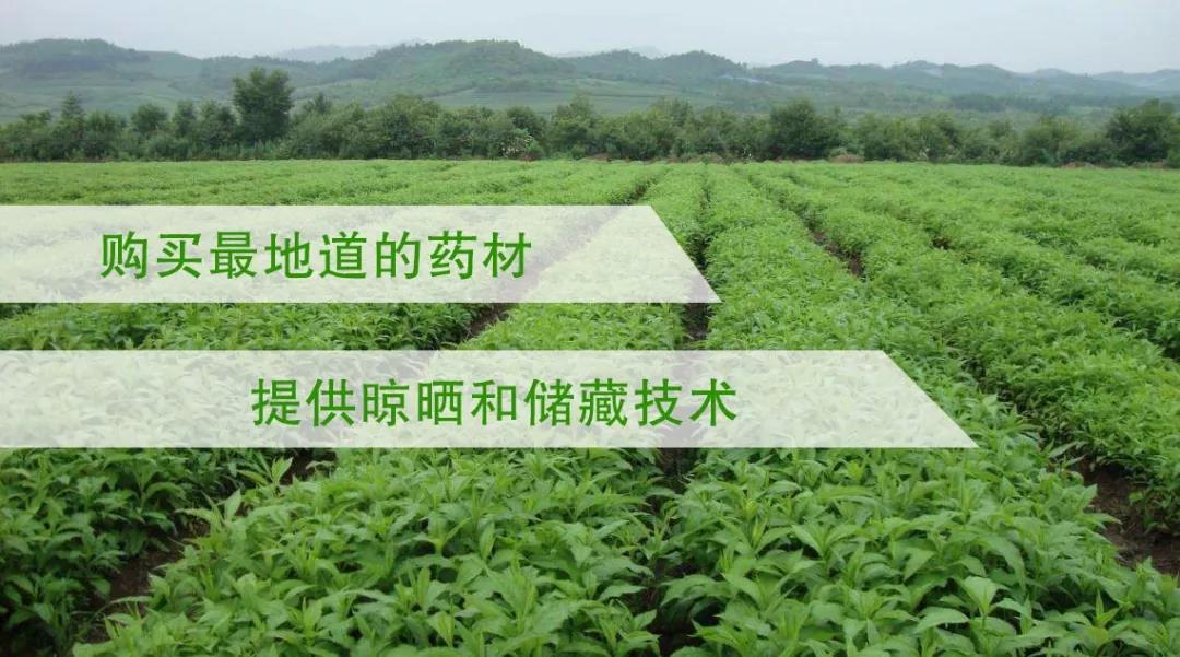 304am永利集团制药